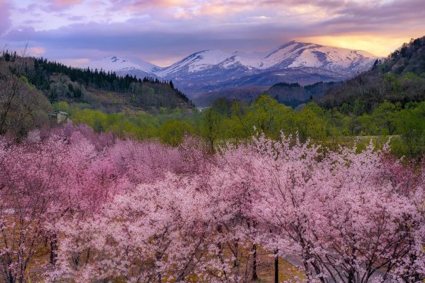 迦森山