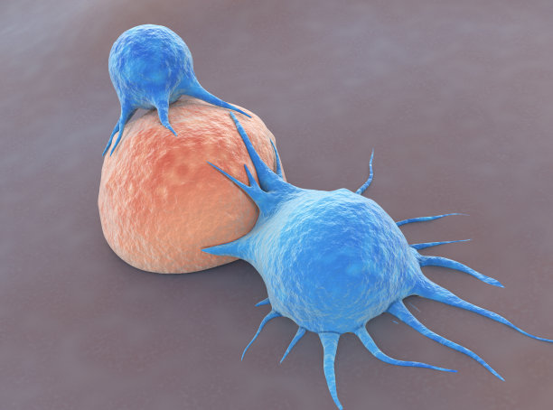 cd4