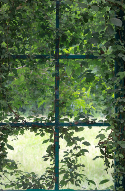 清新绿色方块背景图案