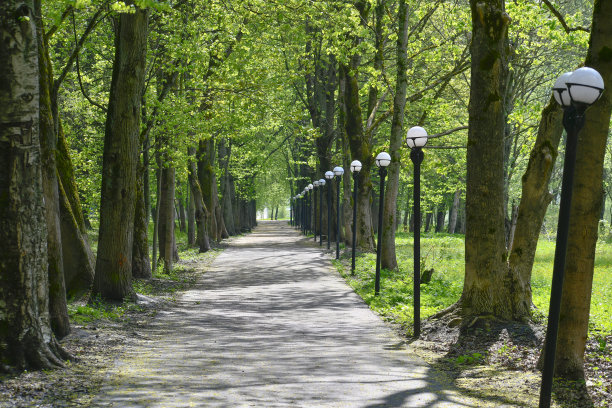 avenue