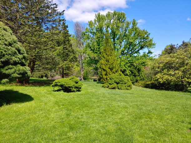 arboretum