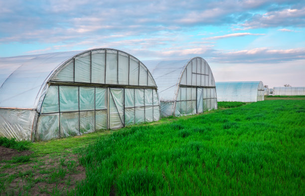 greenhouse