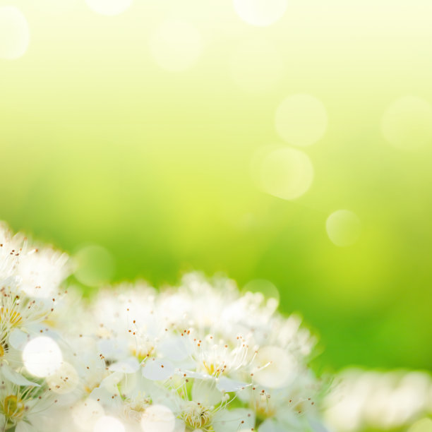 清新绿色方块背景图案