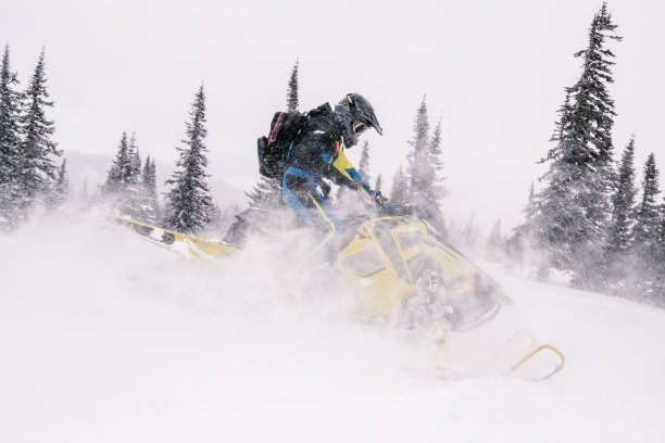 ski