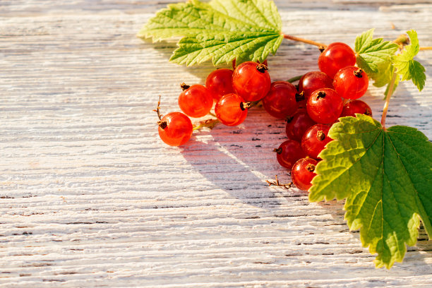 redcurrant