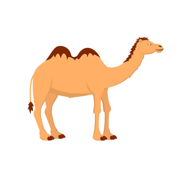 骆驼健壮