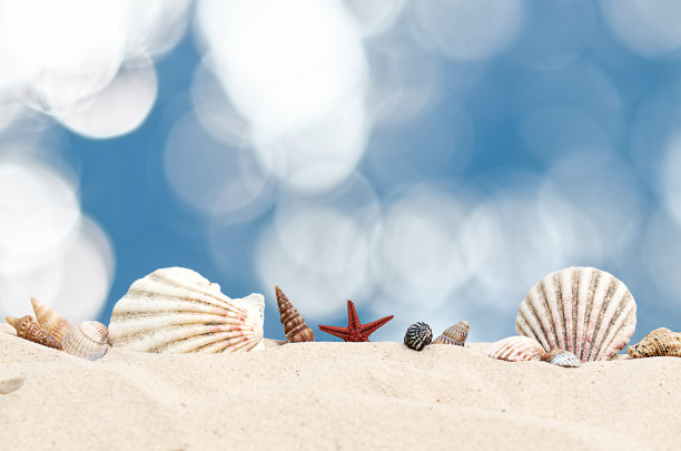 shells