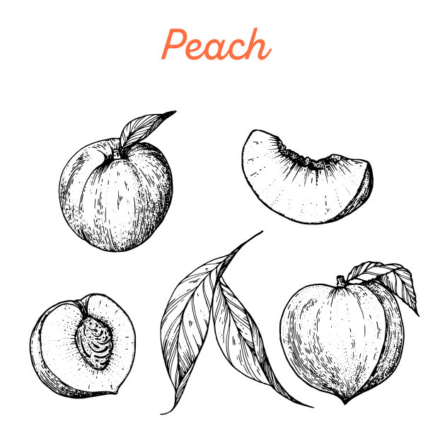 nectarines