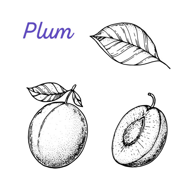 plum
