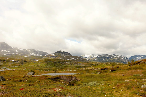 rorbu
