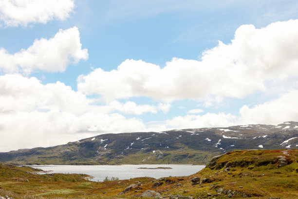 rorbu