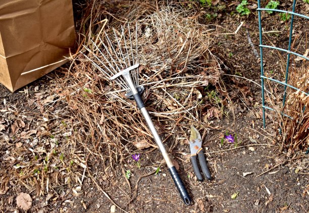 rake