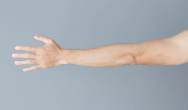 arms