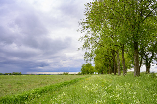 kampen