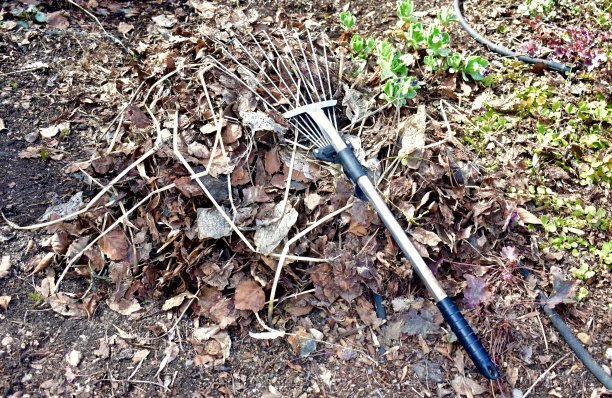 rake