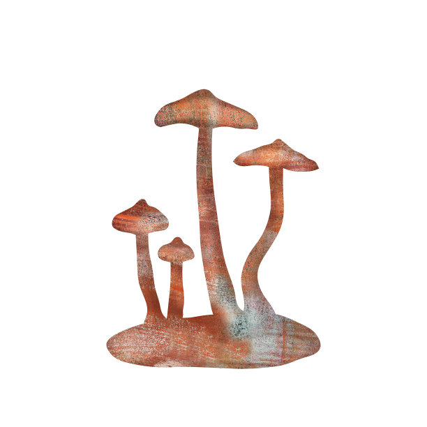 cortinarius