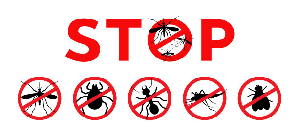 mosquito
