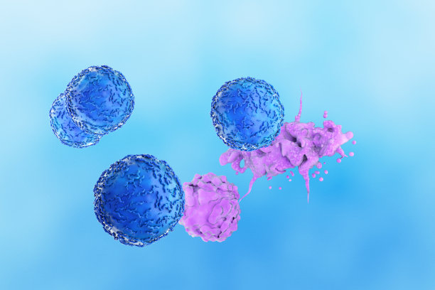 cd4