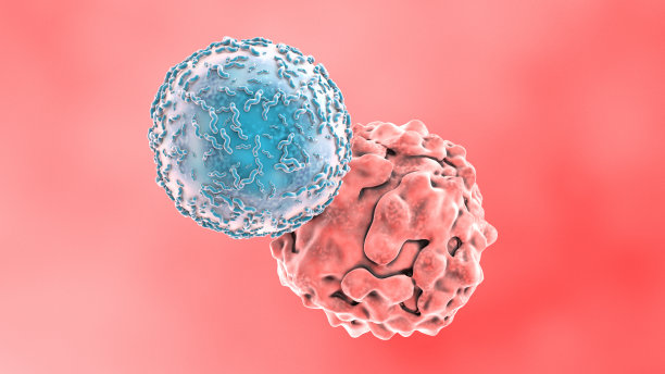 cd4