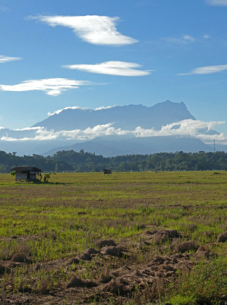 borneo