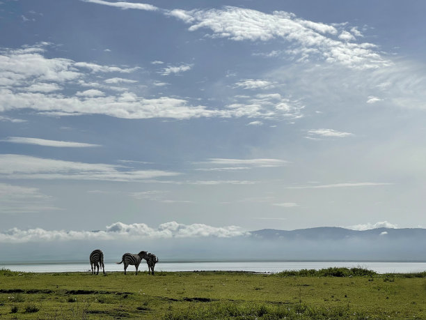 ngorongoro