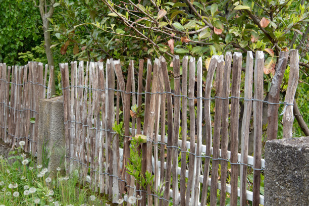 fence