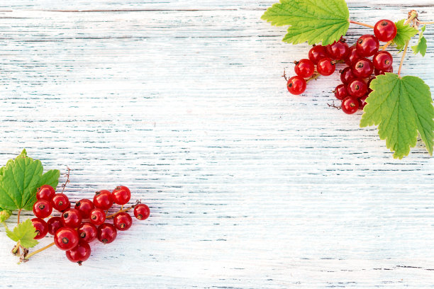 redcurrant