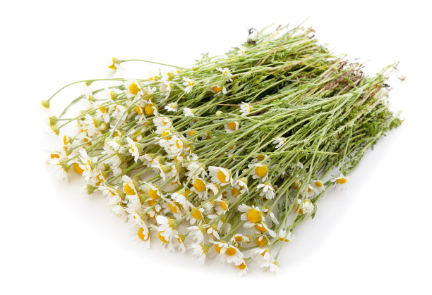 camomiles