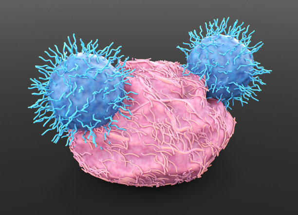cd4