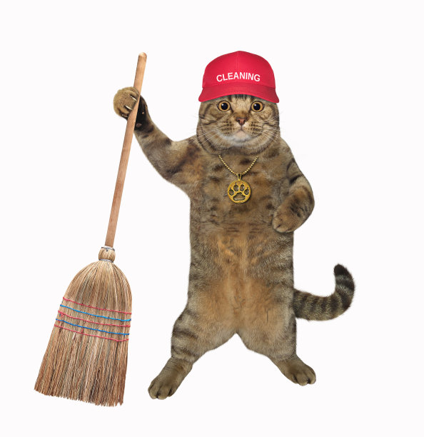 broom