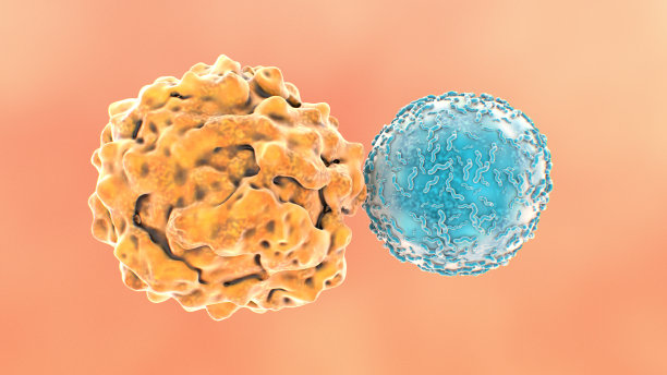 cd4