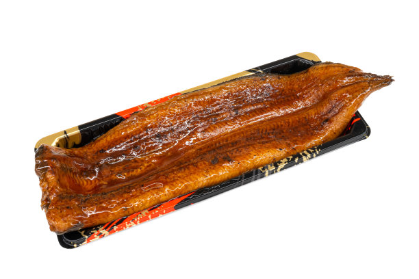 eel
