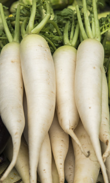 radishes