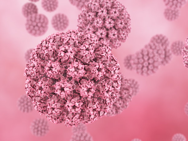 hpv