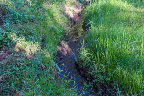ditch