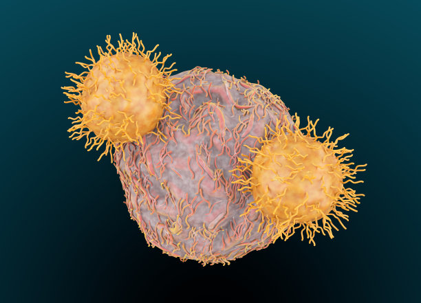 cd4