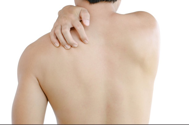 shoulder