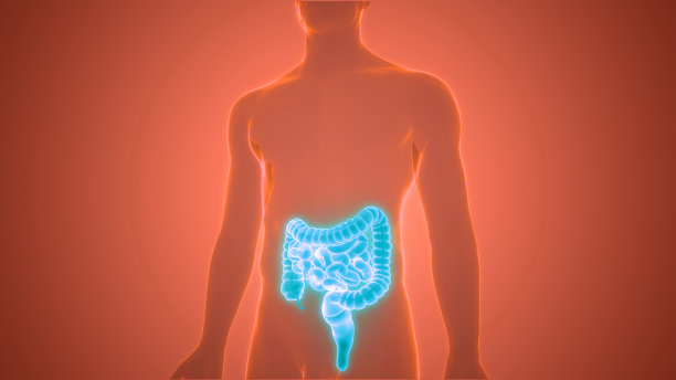 digestion