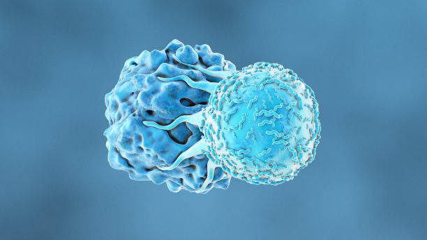 cd4