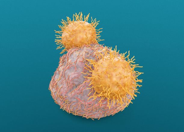 cd4