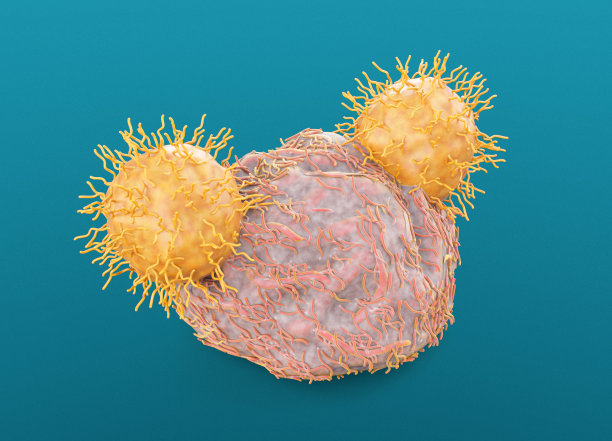 cd4