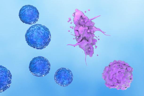 cd4