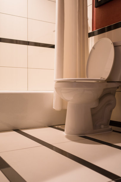 bidet