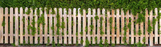 fence