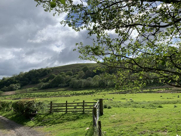 powys