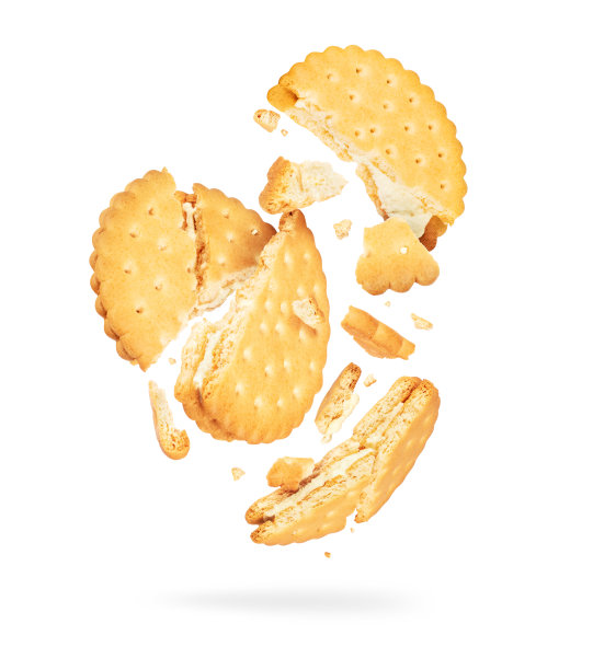 biscuit