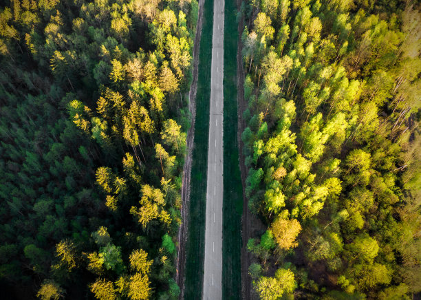 avenue