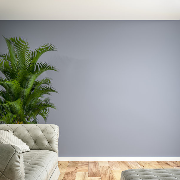 芭蕉叶沙发背景