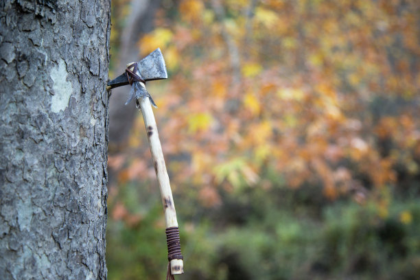 tomahawk