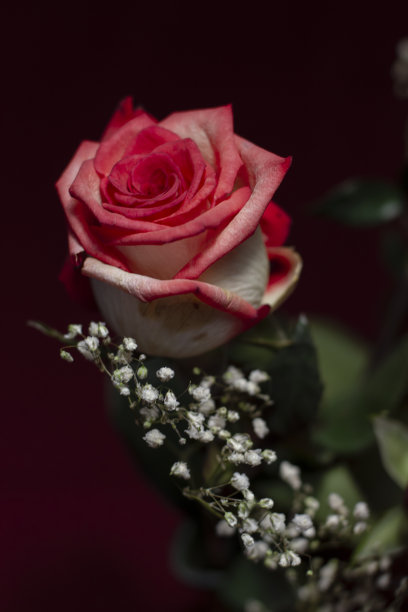 红色婚礼花艺素材